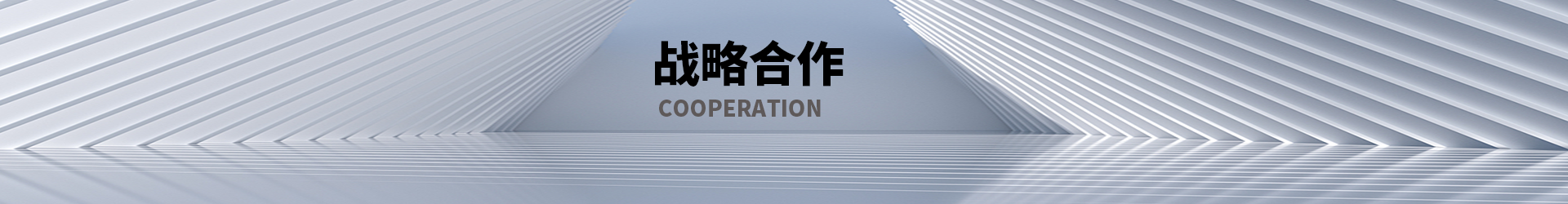 战略合作